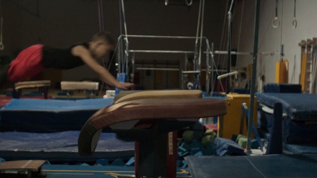 Video Reference: sports, physical fitness, sport venue, pommel horse, gymnastics