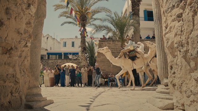 Video Reference: Camel, Arabian camel, Camelid, Tree, Adaptation, Landscape, Tourism, Fawn, Historic site, Palm tree, Person