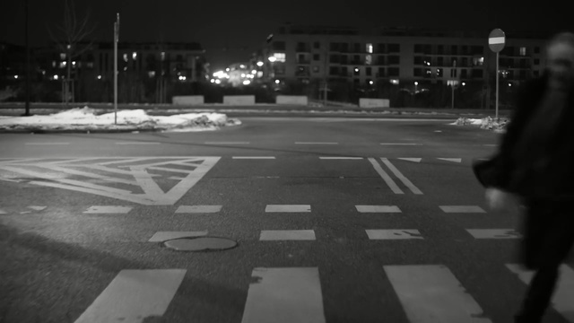 Video Reference: Pedestrian crossing, Road, Zebra crossing, Black, White, Lane, Black-and-white, Street, Monochrome, Asphalt