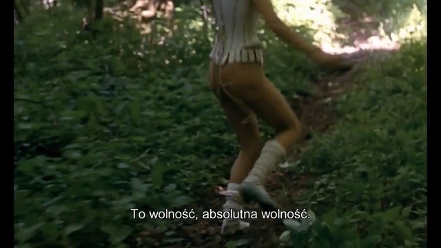 Video Reference: Nature, People in nature, Woodland, Jungle, Forest, Natural environment, Tree, Vegetation, Old-growth forest, Leg