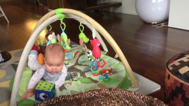 Video Reference: torte, product, play, birthday cake, cake, baby products, cake decorating, toy, toddler, recreation, Person