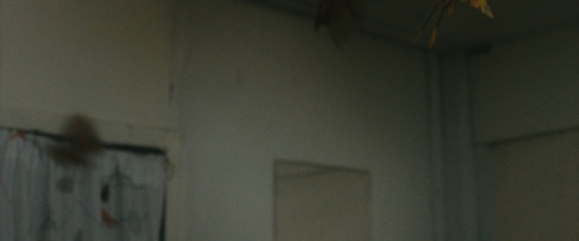 Video Reference: Black, Wall, Ceiling, Room, Line, House, Plaster, Architecture, Wood, Floor