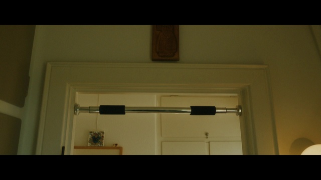 Video Reference: Window, Wood, Fixture, Rectangle, Door, Shelving, Hardwood, Tints and shades, Houseplant, House