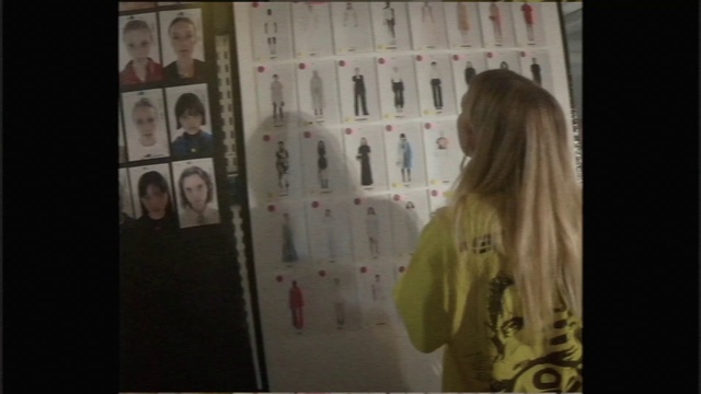 Video Reference: Hair, Facial expression, Snapshot, Long hair, Hair coloring, Room, Blond, Art, Fun, Smile