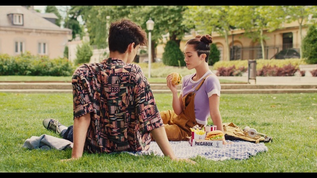 Video Reference: Picnic, Grass, Recreation, Summer, Lawn, Fun, Photography, Sharing, Event, Adaptation