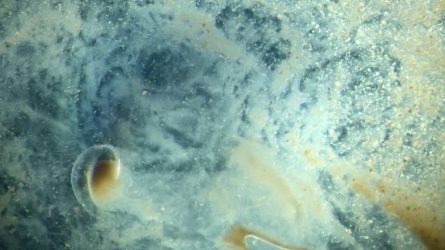 Video Reference: Atmosphere, Space, Organism, Painting, Art