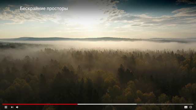 Video Reference: Nature, Sky, Atmospheric phenomenon, Natural landscape, Morning, Atmosphere, Cloud, Fog, Mist, Tree