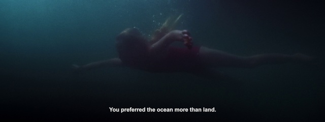 Video Reference: Underwater, Marine biology, Organism, Sea, Water, Marine mammal, Ocean