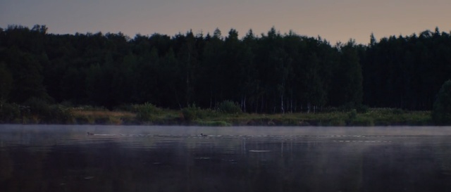 Video Reference: water, nature, reflection, sky, lake, tree, wilderness, atmosphere, wetland, river