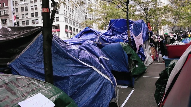 Video Reference: protest, demonstration, crowd, vehicle, tree, recreation, Person