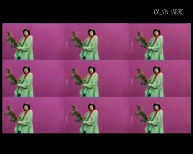 Video Reference: Green, Purple, Violet, Magenta, Text, Outerwear, Font, Organism, Song, Adaptation