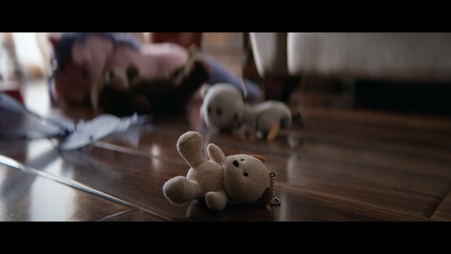 Video Reference: mammal, vertebrate, snout, screenshot, girl, computer wallpaper, child