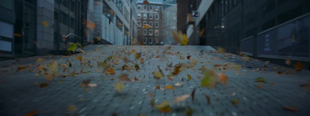 Video Reference: Leaf, Urban area, Tree, Alley, Autumn, Street, City, Architecture, Road, Road surface