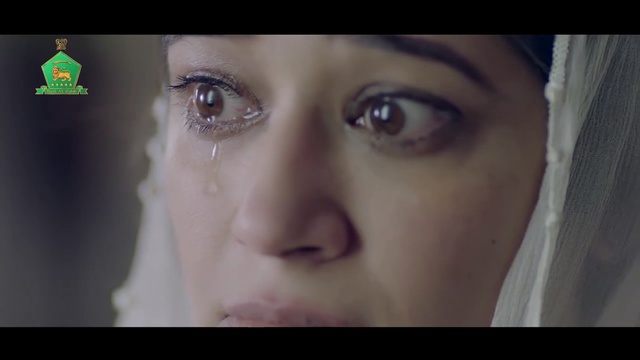 Video Reference: eyebrow, face, nose, skin, cheek, eye, beauty, chin, forehead, eyelash, Person