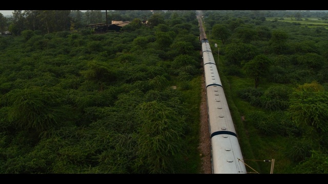 Video Reference: Aerial photography, Landscape, Plant