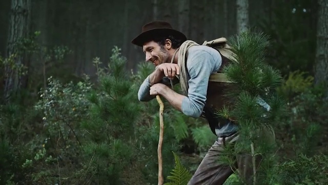 Video Reference: Jungle, Tree, Forest, Organism, Photography, Plant, Old-growth forest, Rainforest