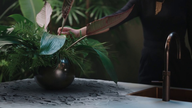 Video Reference: Tree, Still life photography, Houseplant, Organism, Plant, Still life, Table, Photography, Arecales