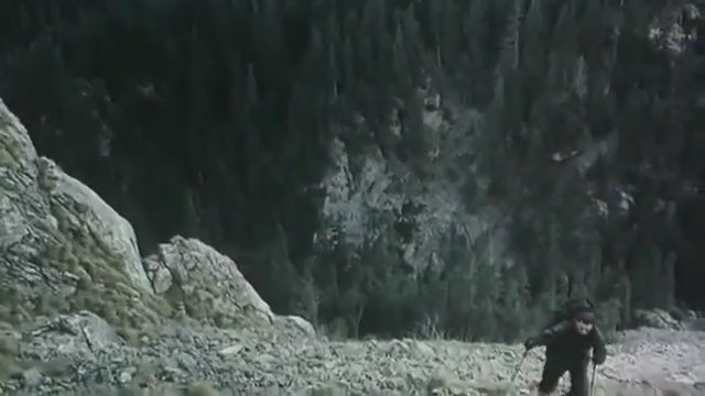 Video Reference: Nature, Geological phenomenon, Wilderness, Tree, Forest, Geology, Snow, Winter, Freezing, Wildlife