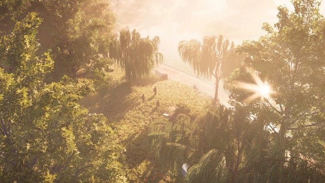 Video Reference: Nature, Sunlight, Sky, Vegetation, Light, Tree, Atmospheric phenomenon, Green, Morning, Natural landscape