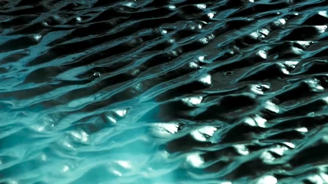 Video Reference: water, light, organism, marine biology, computer wallpaper, drop, underwater