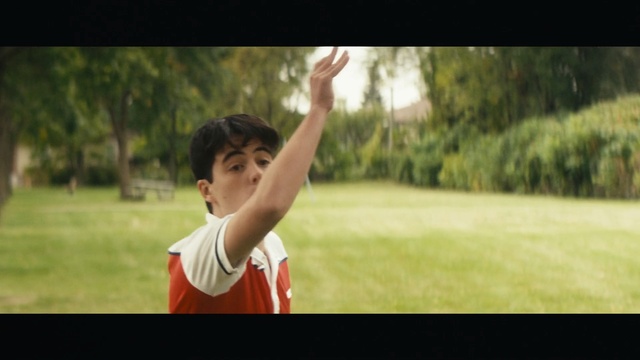 Video Reference: green, red, nature, grass, plant, fun, emotion, leisure, tree, photography