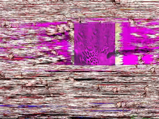 Video Reference: Purple, Pink, Violet, Lavender, Magenta, Water, Pattern, Reflection, Illustration, Art