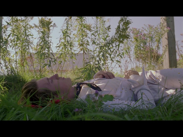 Video Reference: green, nature, plant, grass, ecosystem, tree, leaf, flora, sitting, emotion