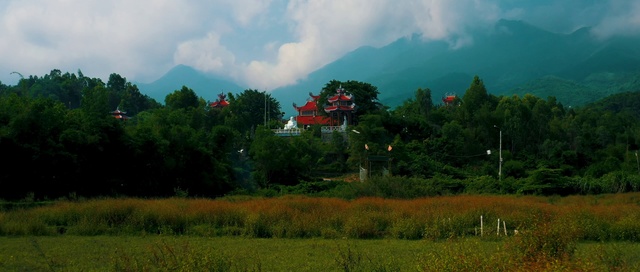 Video Reference: Nature, Natural landscape, Vegetation, Hill station, Grassland, Highland, Natural environment, Hill, Sky, Meadow
