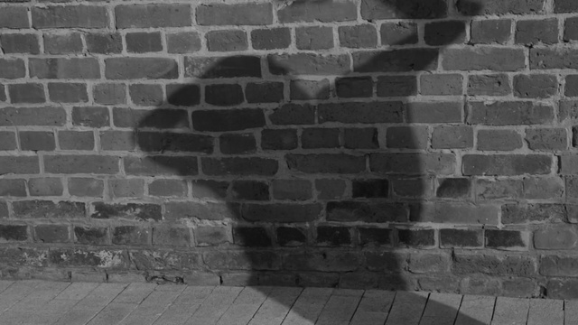 Video Reference: brick, wall, building material, tile, stone, surface, cement, texture, pattern, concrete, architecture, old, construction, building, rough, dirty, solid, brickwork, weathered, wallpaper, cobble, block, material, masonry, structure, urban, exterior, backdrop, bricks, textured, grunge, brown, rock, clay, aged, paving stone, Person