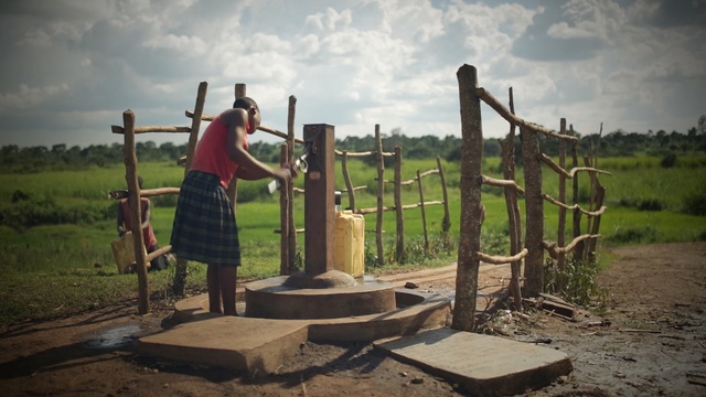 Video Reference: tree, recreation, grass, water, landscape, Person