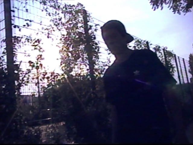 Video Reference: Sky, Tree, Shadow, Photography, Plant, Night, Tints and shades