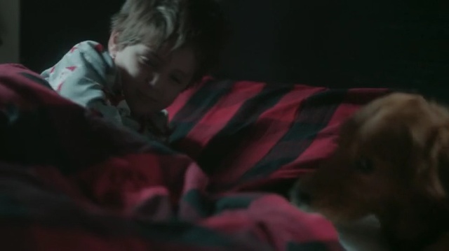 Video Reference: Canidae, Dog, Child, Dog breed, Puppy, Interaction, Carnivore, Mouth, Human, Yorkshire terrier, Person