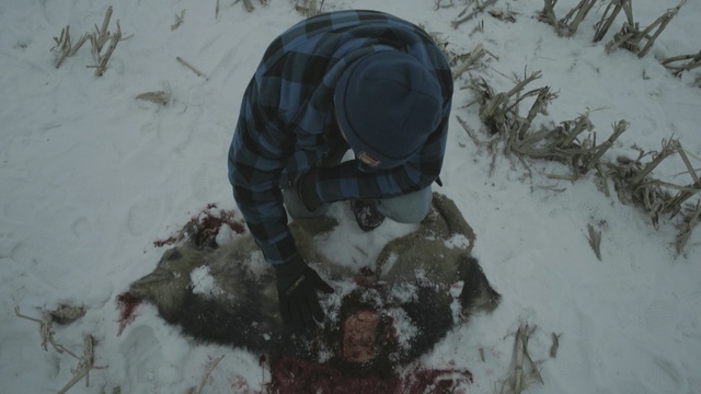 Video Reference: snow, winter, freezing, geological phenomenon, blizzard, tree, winter storm, ice, adventure