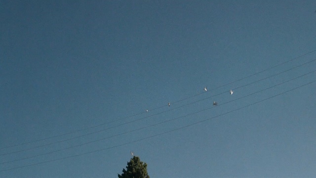 Video Reference: star, celestial body, sky, landscape