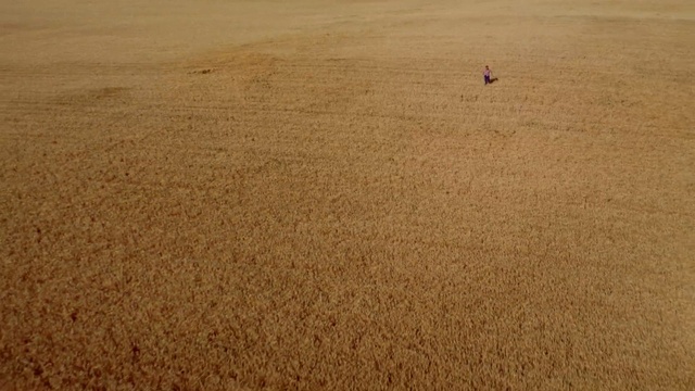 Video Reference: Sand, Soil, Field, Natural environment, Grass, Brown, Ecoregion, Plain, Beige, Sahara