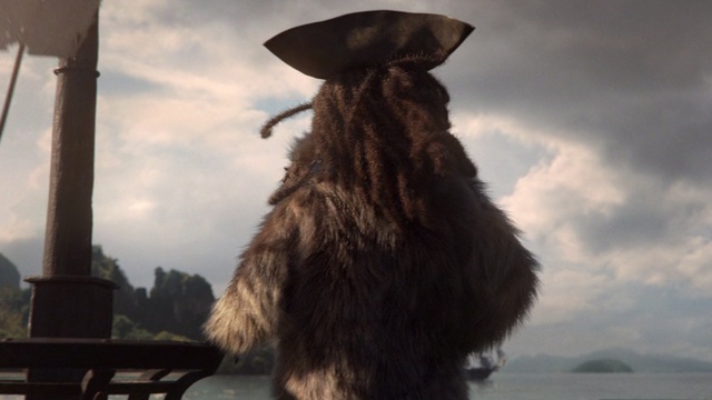 Video Reference: Fur, Long hair, Outdoor, Front, Sitting, Looking, Dog, Water, Close, Black, Large, Standing, Hat, Sky, Animal, Carnivore, Cloud, Day