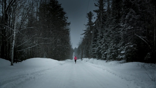 Video Reference: snow, winter, nature, tree, sky, freezing, woody plant, geological phenomenon, frost, forest