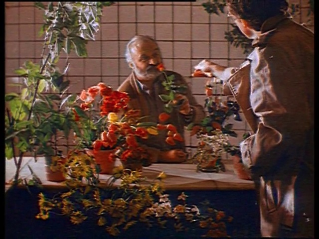 Video Reference: Floral design, Floristry, Flower Arranging, Art, Flower, Plant, Adaptation, Temple, Ikebana, Houseplant