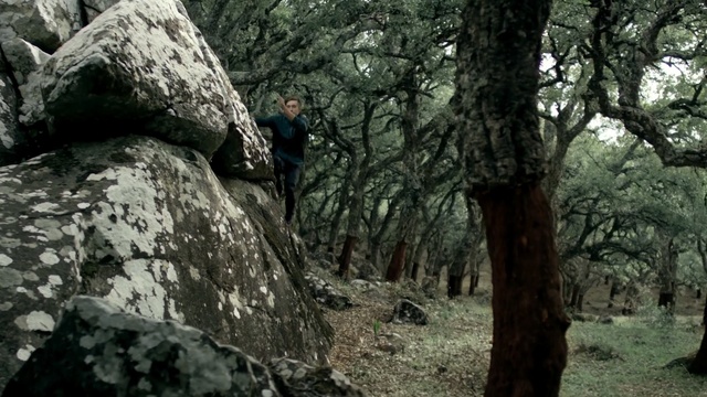 Video Reference: Tree, Nature, Natural environment, Forest, Old-growth forest, Woodland, Wilderness, Adventure, Jungle, Rock, Person