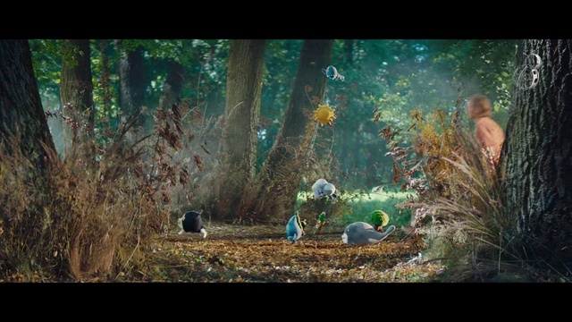 Video Reference: Nature, Natural environment, Forest, Tree, Organism, Woodland, Biome, Screenshot, Adaptation, Animation