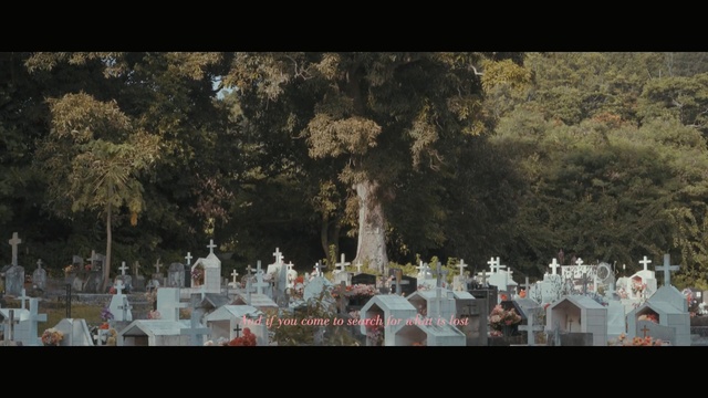 Video Reference: tree, religion, temple, sky, water, crowd, world, landscape, grass, cemetery, Person