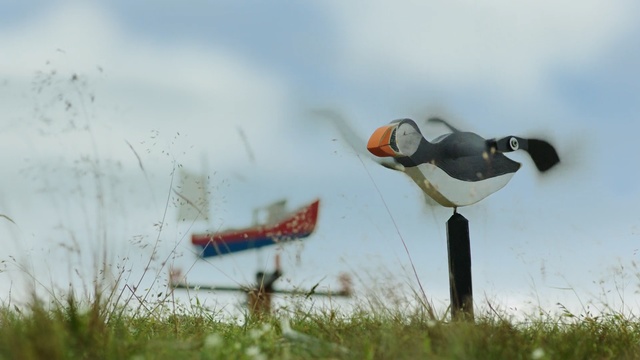 Video Reference: Bird, Puffin, Grass, Seabird, Sky, Wildlife, Beak, Grass, Atlantic puffin, Plant