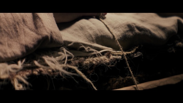 Video Reference: Black, Black-and-white, Monochrome, Sky, Photography, Hand, Monochrome photography, Tree, Branch, Wood