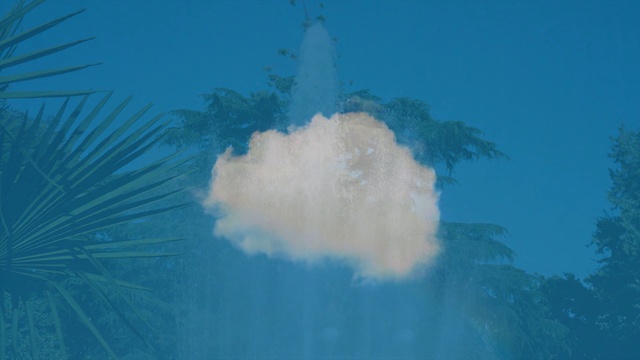 Video Reference: blue, water, sky, daytime, tree, underwater, computer wallpaper, sea, marine biology