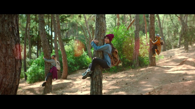 Video Reference: Nature, Jungle, Natural environment, Forest, Tree, Adaptation, Woodland, Movie, Trail, Rainforest