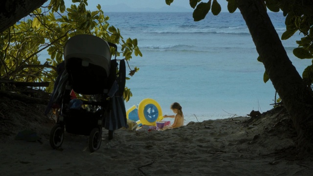 Video Reference: water, body of water, tree, beach, sea, vacation, coastal and oceanic landforms, plant, sky, ocean