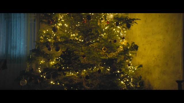 Video Reference: Nature, Tree, Yellow, Branch, Lighting, Christmas ornament, Christmas tree, Christmas, Plant, Woody plant