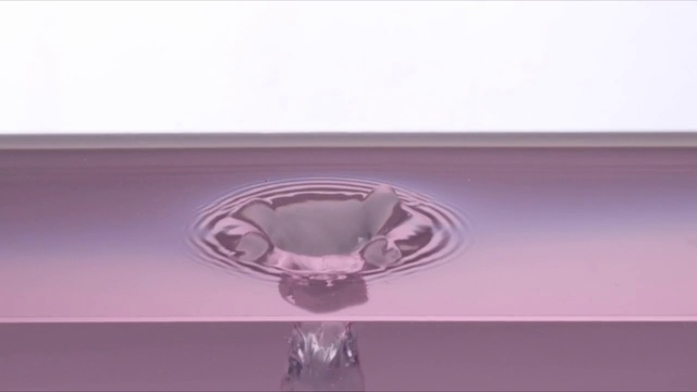 Video Reference: Violet, Purple, Water, Glass, Drinkware, Transparent material, Tableware, Bowl, Liquid, Still life photography