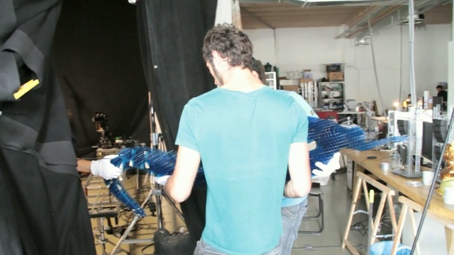 Video Reference: man, person, male, people