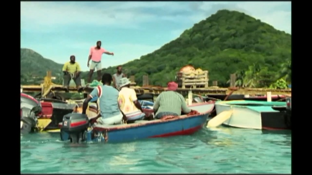 Video Reference: leisure, boat, canoe, rowing, watercraft rowing, nature, canoeing, boating, water transportation, waterway, Person